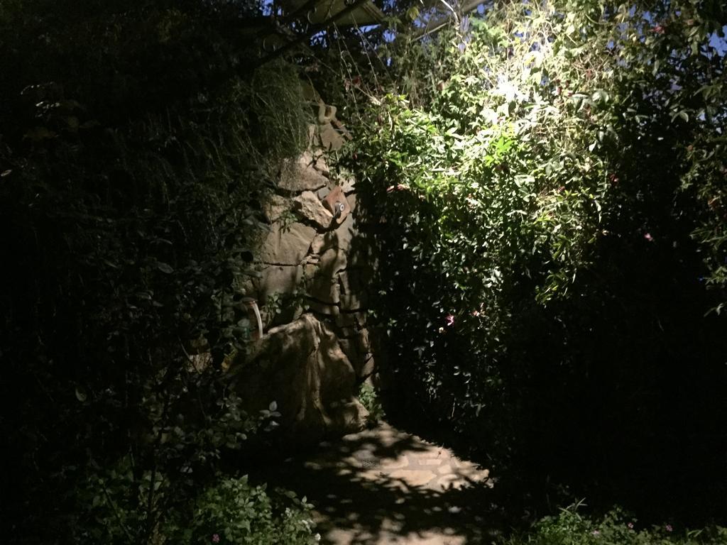 Villa Li Schisani Сорренто Экстерьер фото